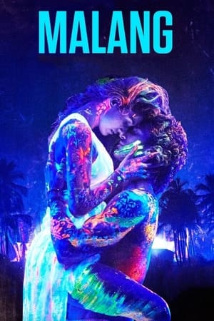 Malang 2020 Movie | Dubbed Hindi Movie HDRip - [400MB]